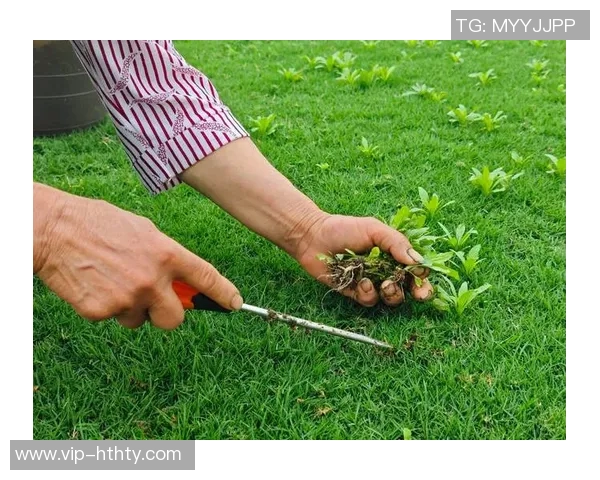 草皮质量堪忧王大雷呼吁大家共同维护主场草坪环境 草皮质量堪忧王大雷呼吁大家共同维护主场草坪环境
